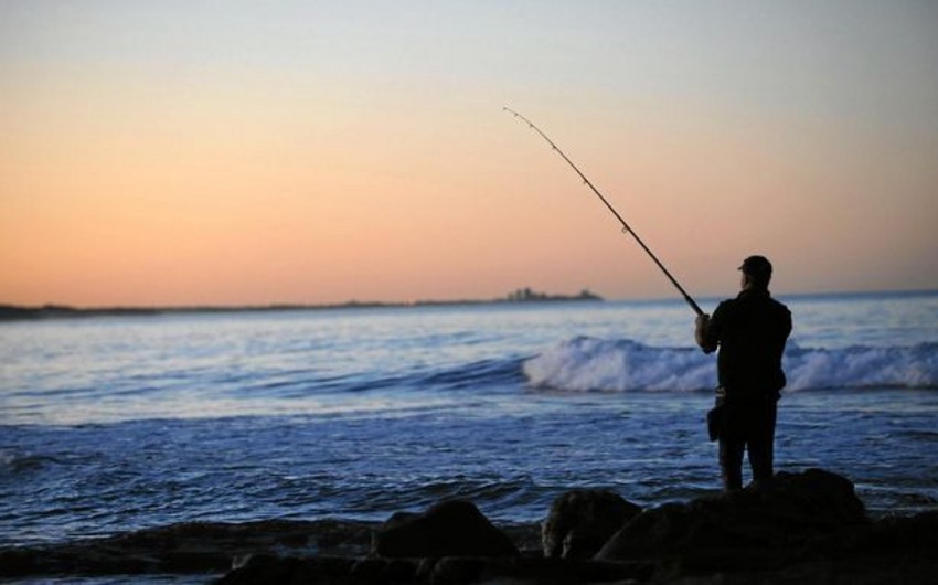 Рыбная ловля в Азербайджане увеличилась на 67%
