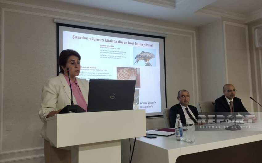 Irada Huseynova: Flora and fauna of Topkhana forest being re-examined