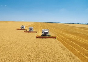 В Испании заявили, что пакт по вывозу зерна не означает отсутствие риска голода в Африке