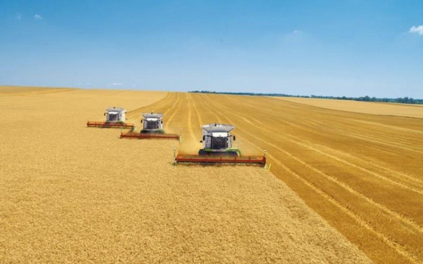 ​Казахстан намерен укрепиться на рынке сбыта зерна в Азербайджан