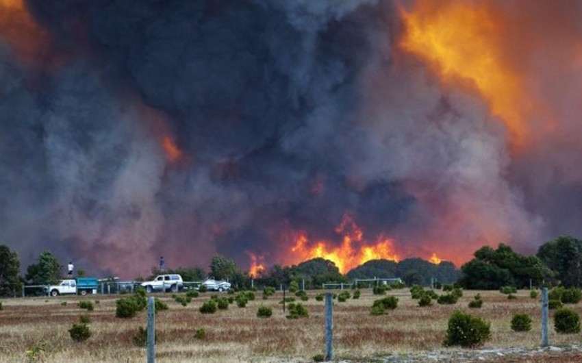 Более 200 пожарных мобилизованы для борьбы с лесными пожарами в Австралии - ВИДЕО