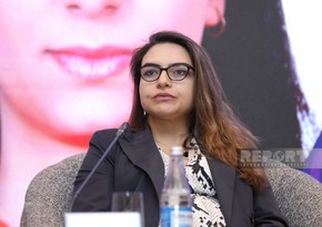 Maryam Majidova: Low level of youth involvement in SMEs - one of pressing issues