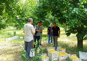 Azərbaycan və Türkiyənin Elmi-tədqiqat institutları birgə layihə həyata keçirirlər