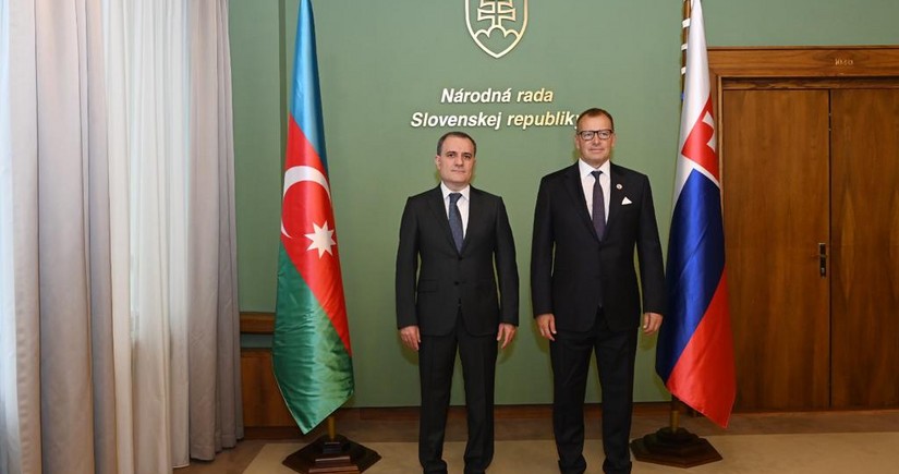 Ceyhun Bayramov Slovakiya Milli Şurasının rəhbəri ilə görüşüb