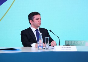 Ялчин Рафиев: Работы по подготовке к COP29 ведутся в двух направлениях