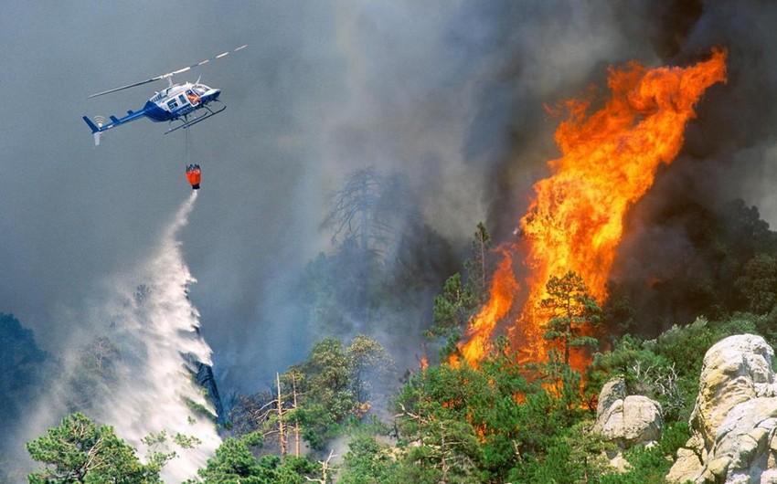 МЭПР: Установлены лица, подозреваемые в лесных пожарах последних дней