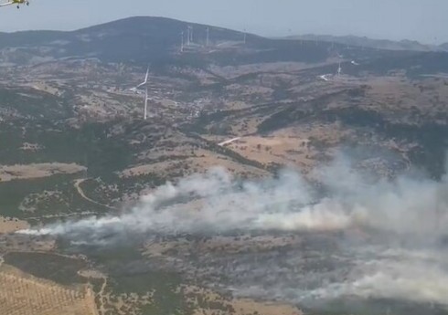 В двух регионах Турции вспыхнули лесные пожары