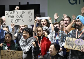 Климатические активисты провели акцию на COP29