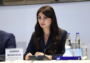 Azerbaijan applies digital innovations for registering foreign-invested legal entities