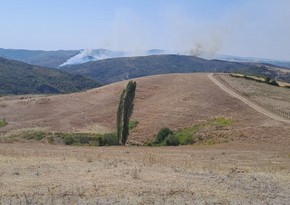 Wildfire breaks out in Azerbaijan’s Ismayilli district