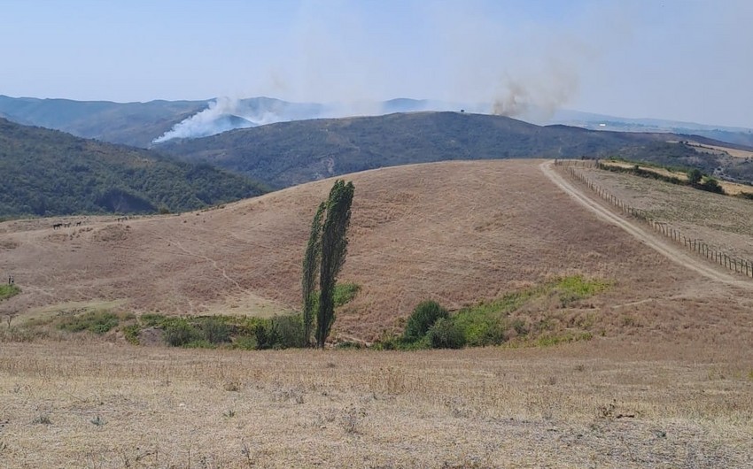Wildfire breaks out in Azerbaijan’s Ismayilli district
