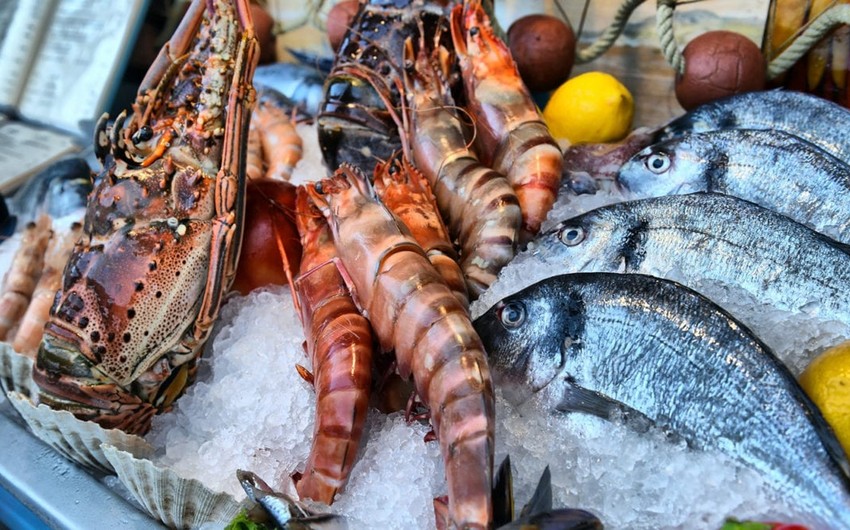 Азербайджан будет импортировать морепродукты из Грузии