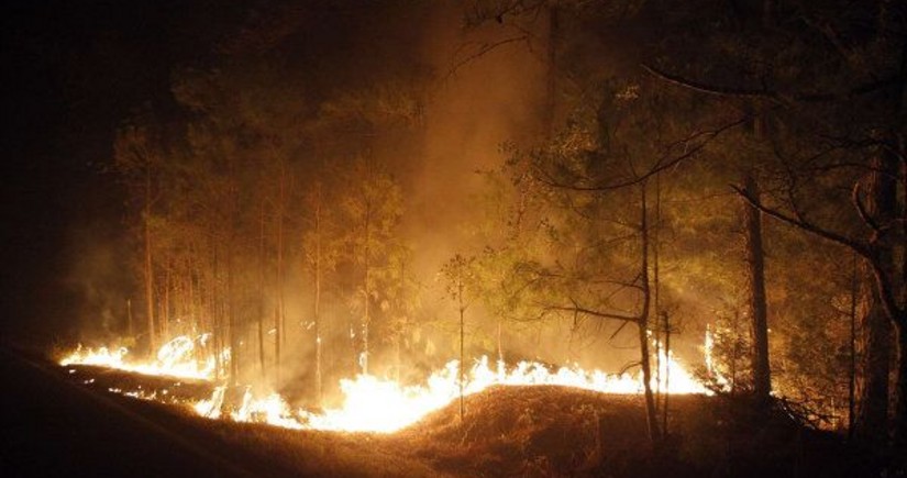 Губернатор Техаса ввел чрезвычайное положение в 60 округах штата из-за пожаров