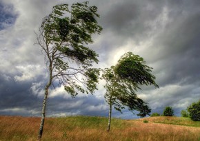 Azerbaijan weather forecast for May 8