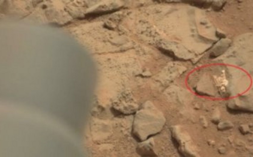 На Марсе обнаружили останки погибшего существа - ФОТО
