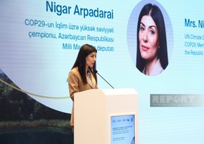 Nigar Arpadarai: Özəl sektorun iqlim sektorunda iştirakı mühüm əhəmiyyət kəsb edir
