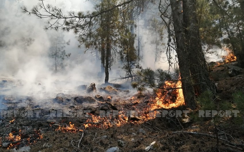 Helicopter involved in extinguishing fire in Gabala's mountainous area