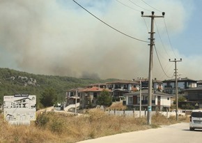 Türkiyədə eyni vaxtda daha iki meşə yanğını baş verib