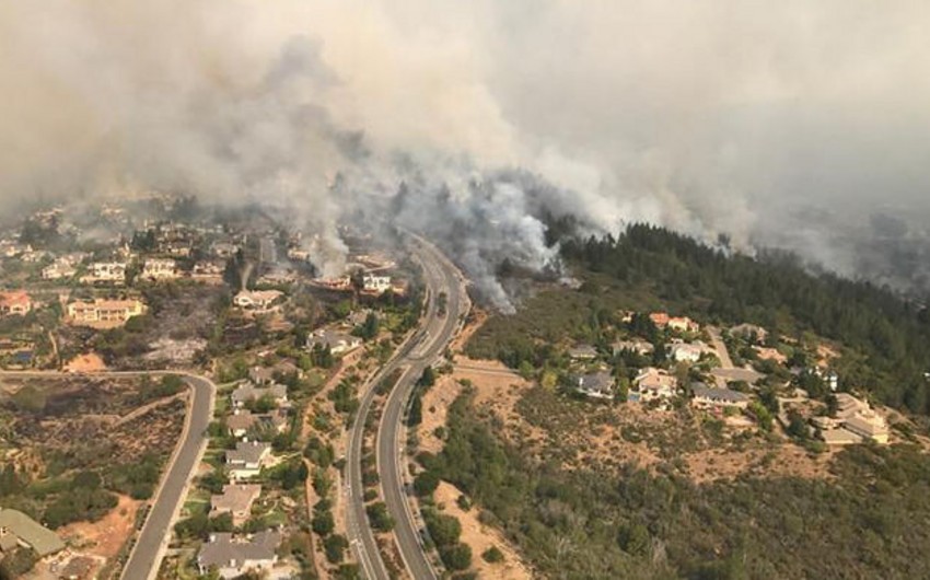 Число жертв лесных пожаров в Калифорнии превысило 20 человек