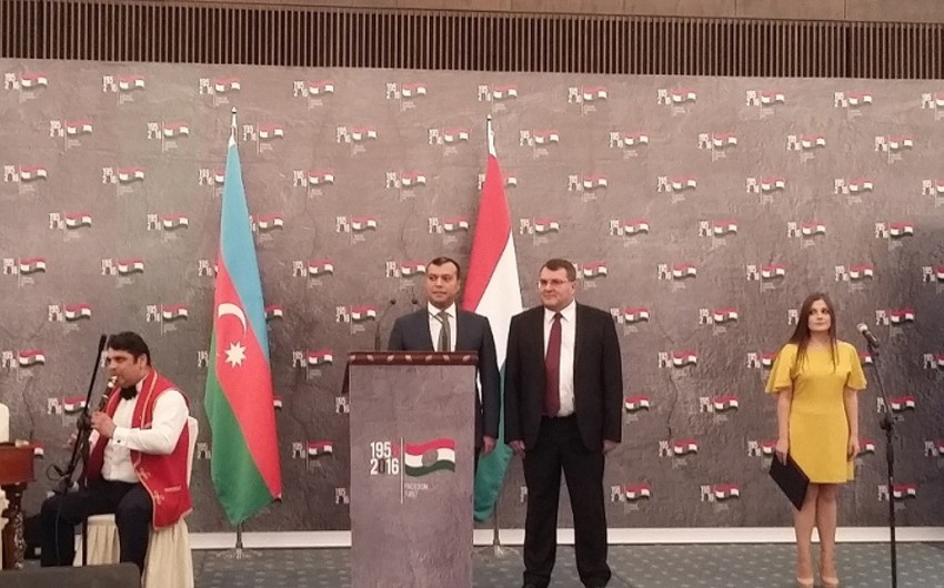 Посол: Азербайджан - не только символ свободы, но и воплощение мультикультурализма