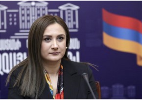 Erməni deputat: “Azərbaycan peyk alanda biz villalar tikirdik”