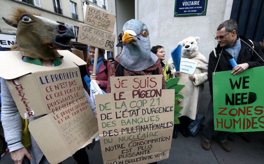 Полиция Парижа задержала более 300 человек после беспорядков на митинге зеленых