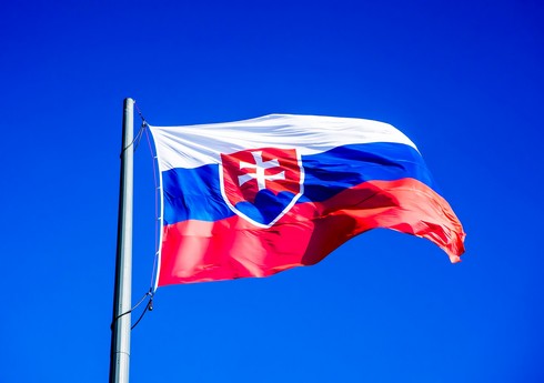 Словакия заявила о намерении поддержать усилия Азербайджана по разминированию
