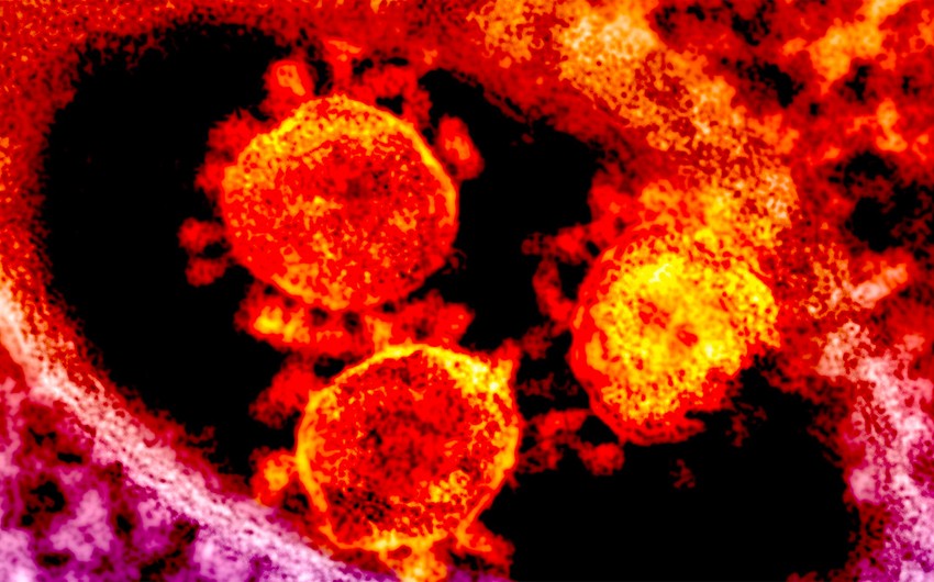 Finlandiyada koronavirusun yeni variantı aşkarlandı  