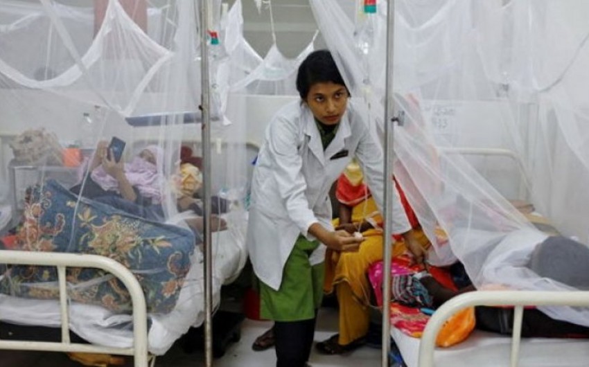 В Бангладеш число жертв от лихорадки денге превысило 1 тыс. с начала года