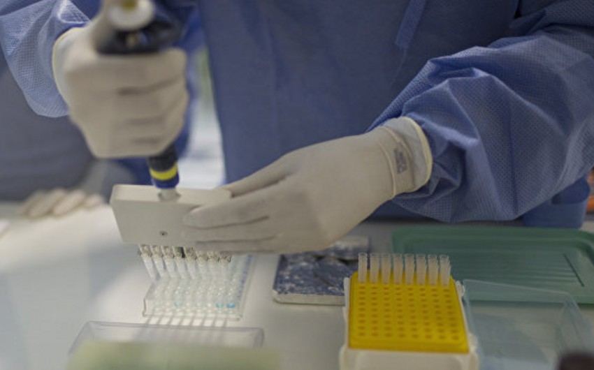 Американские медики начали испытания вакцины против вируса Зика на людях
