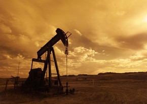 МЭА: Запасы нефти ОЭСР выросли до 2,779 млрд баррелей в ноябре прошлого года