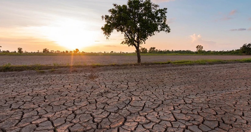 Страны Южной Африки призвали собрать $5,5 млрд на борьбу с засухой