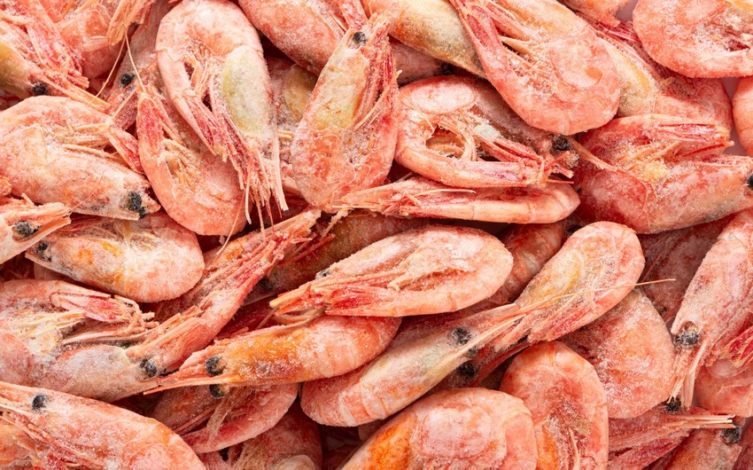 Azerbaijan resumes import of sea shrimps from two countries