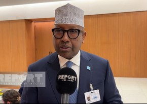 Somali FM: 'We are glad Azerbaijan liberated its historical lands from occupation'