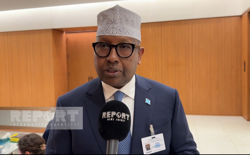 Somali FM: 'We are glad Azerbaijan liberated its historical lands from occupation'