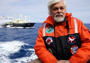 Anti-whaling campaigner arrested in Greenland