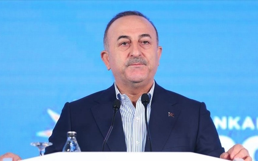 Turkish FM: Grief of Turkic countries is our grief, world seen it with victory in Karabakh