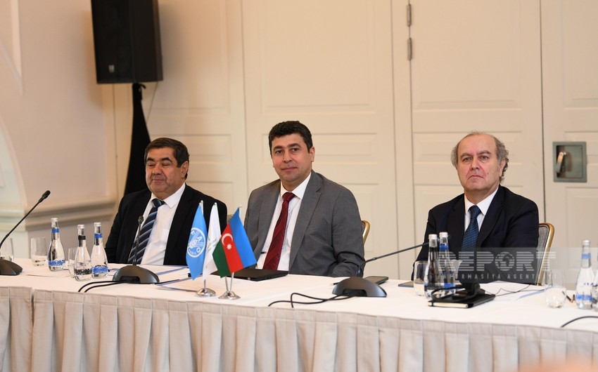 Ministry: Agricultural crop productivity in Azerbaijan could rise by 2-3 times