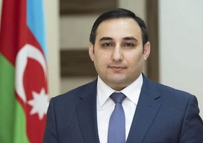 Замминистра: Проведение COP29 в Азербайджане сыграет важную роль для аграрной и экологической политики