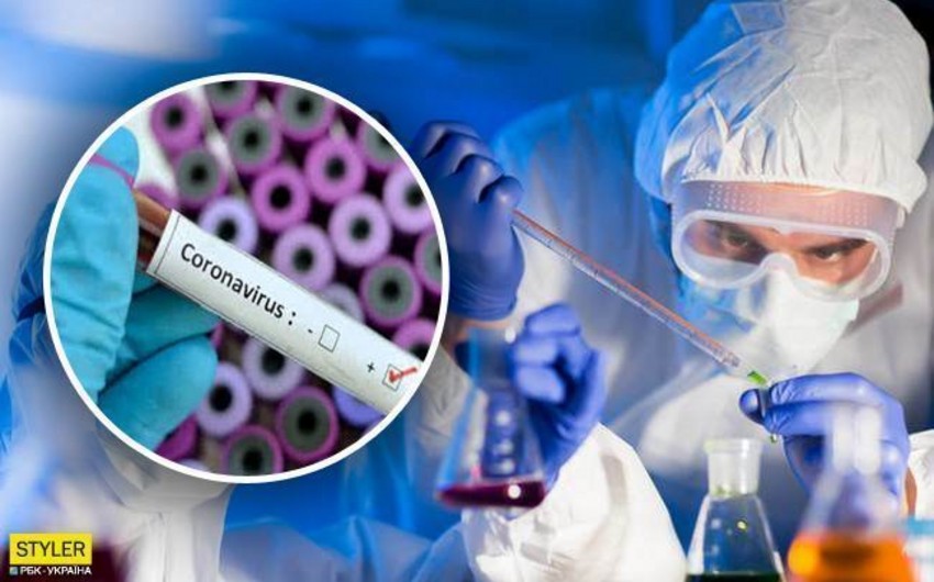 В Азербайджане зафиксированы 63 новых случая заражения коронавирусом