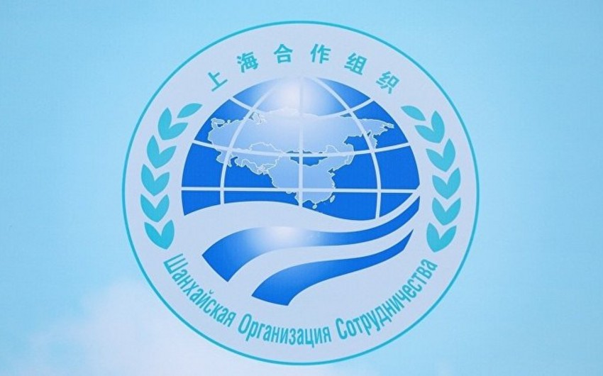 Political scientist: Azerbaijan plays important role in co-op with SCO member countries