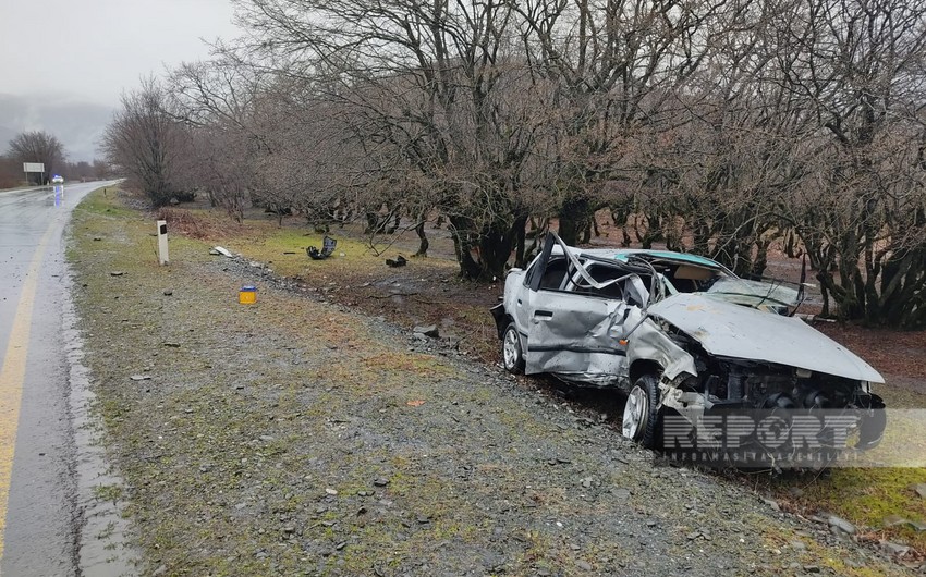 Qaxda minik avtomobili ağaca çırpılıb, iki qardaş xəsarət alıb