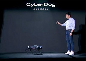 Xiaomi представила робота-собаку - ФОТО