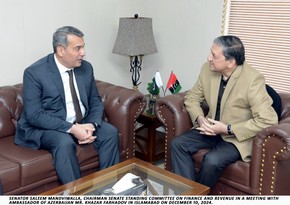 Azerbaijani envoy mulls prospects for growing mutual investments with Pakistani Senator