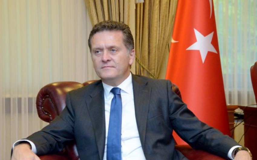 Посол: Желаю, что выборы в Азербайджане и Турции прошли в обстановке согласия
