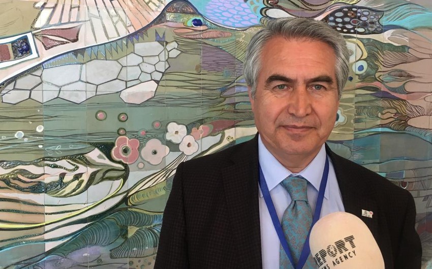 Председатель комиссии ЮНЕСКО по Турции: Долма - тюркское блюдо