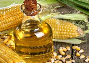 Azerbaijan resumes corn oil exports to Belarus