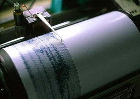 Недалеко от берегов Новой Зеландии произошло землетрясение магнитудой 5,4