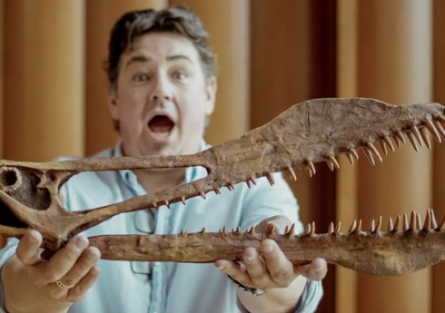 В Австралии нашли окаменелость птерозавра с размахом крыльев в семь метров
