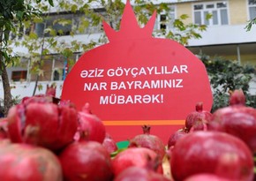 Azerbaijan to host Pomegranate Festival